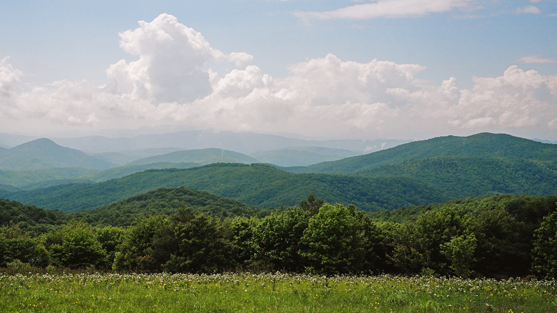 North Carolina Road Trips