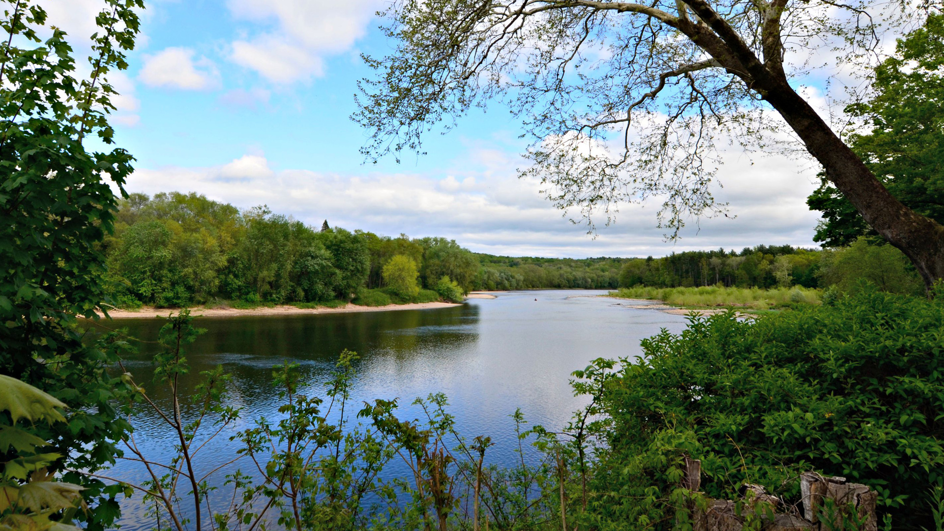 A view of the Delaware River at the beginning of the McDade Recreational Trail.